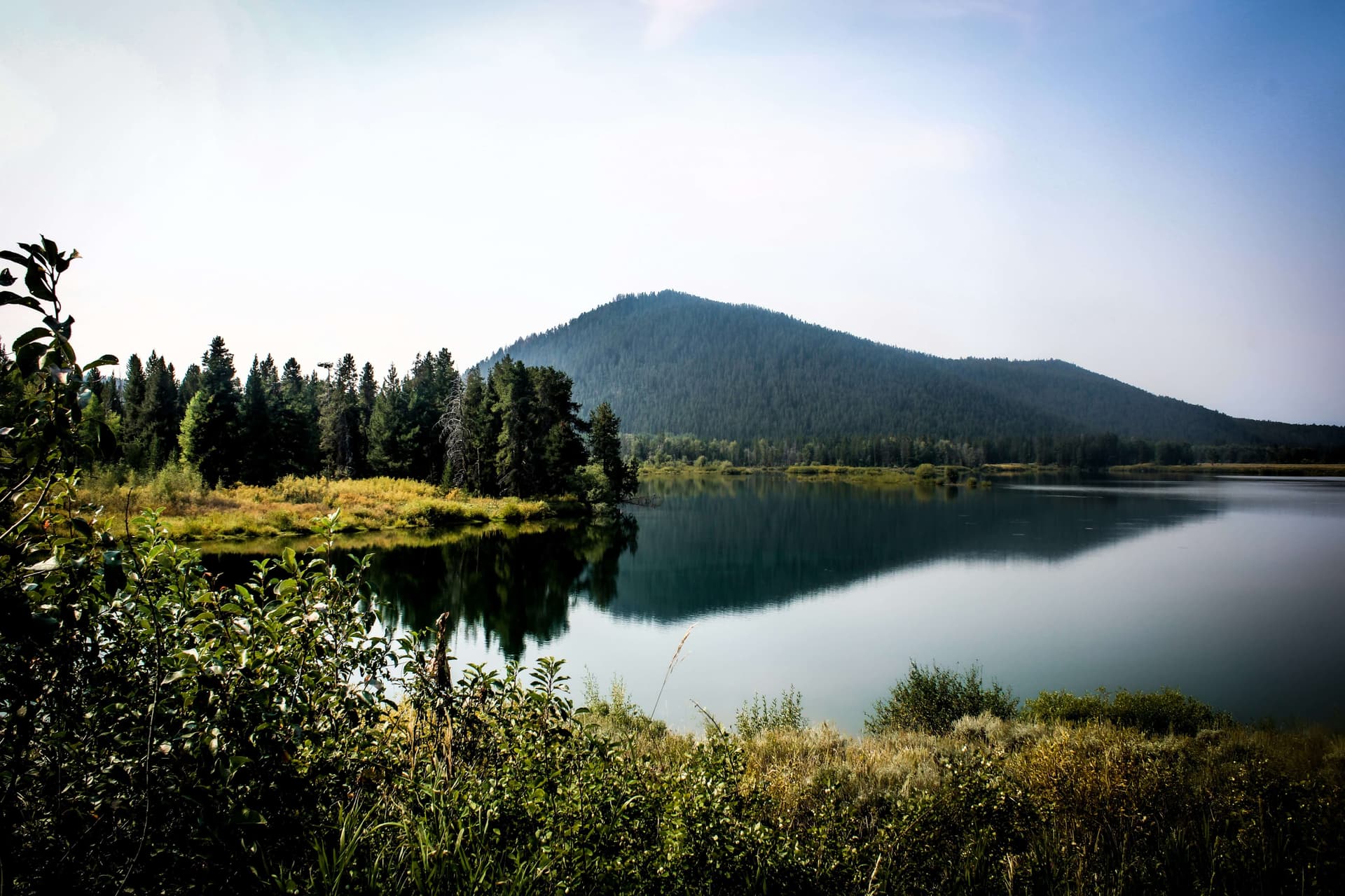 Market Review by Christmas Corp