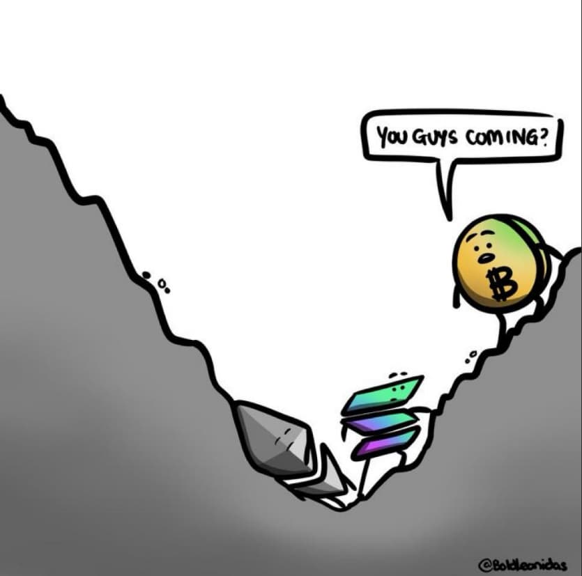 The Bullrun That Never Came for Altcoins