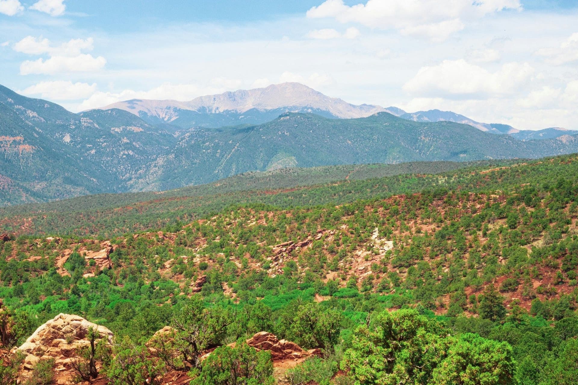 Market Review by Christmas Corp